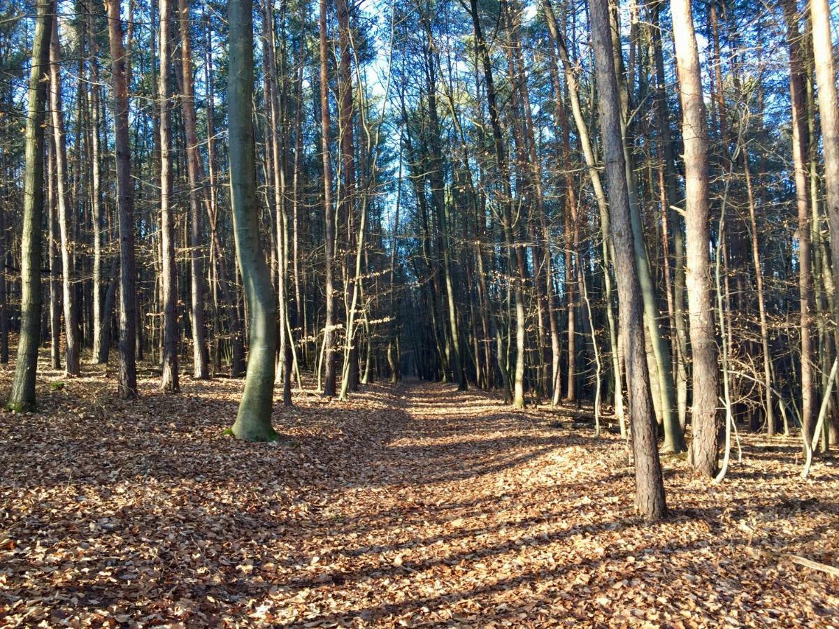 Waldfruhstuckspension Familie Toth Oberschützen Eksteriør billede