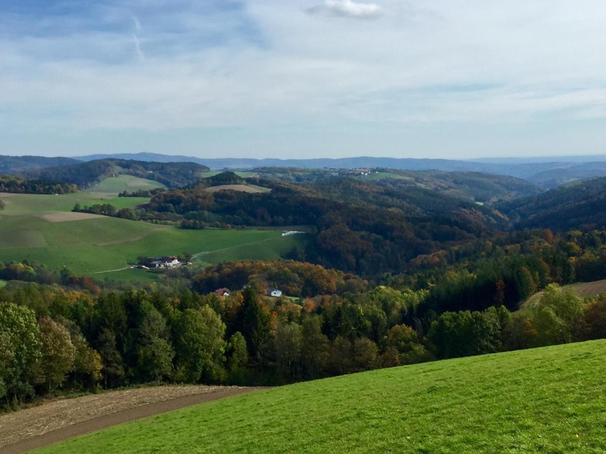 Waldfruhstuckspension Familie Toth Oberschützen Eksteriør billede